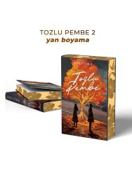 Tozlu Pembe 2 – Ciltli Yan Boyamalı - 2
