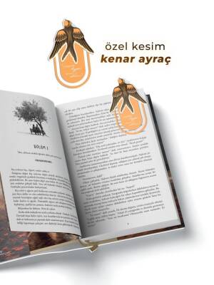 Tozlu Pembe 2 –Tek Kitaplık Kutu - 3
